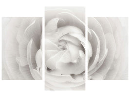 modern-3-piece-canvas-print-ranunculus