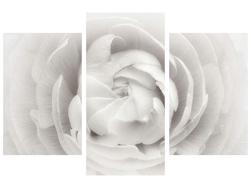 modern-3-piece-canvas-print-ranunculus