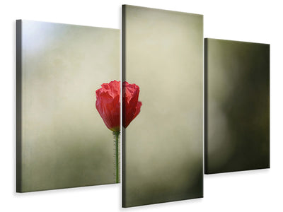 modern-3-piece-canvas-print-red-poppy