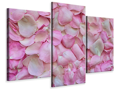 modern-3-piece-canvas-print-rose-petals-in-pink-ii