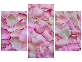 modern-3-piece-canvas-print-rose-petals-in-pink-ii