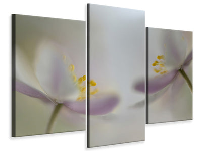 modern-3-piece-canvas-print-soft-whispering