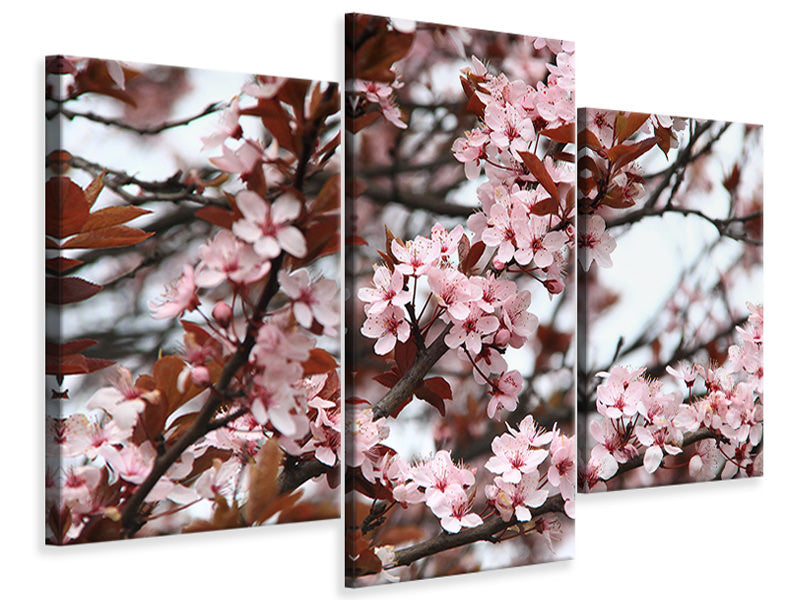 modern-3-piece-canvas-print-spring-is-here