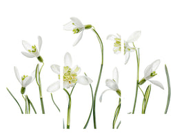 modern-3-piece-canvas-print-spring-snowdrops