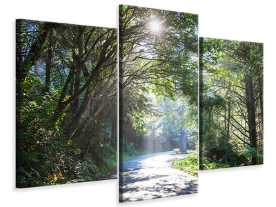 modern-3-piece-canvas-print-sunny-forest-path