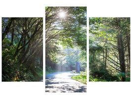 modern-3-piece-canvas-print-sunny-forest-path