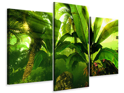 modern-3-piece-canvas-print-sunrise-in-the-rainforest
