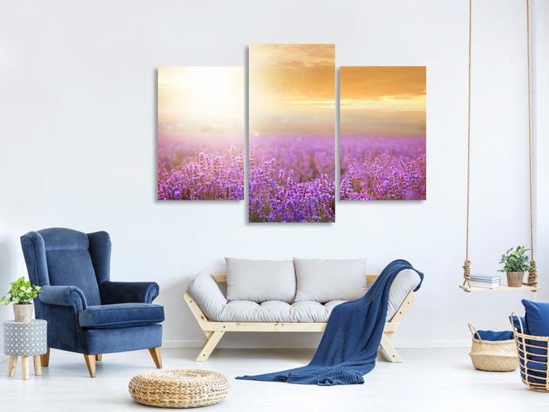 modern-3-piece-canvas-print-sunset-in-lavender-field