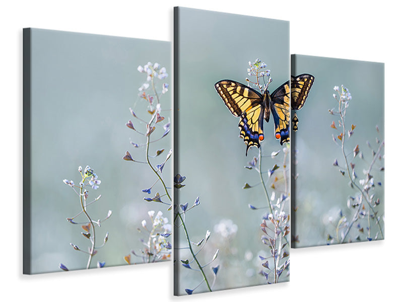 modern-3-piece-canvas-print-swallowtail-beauty