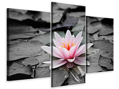 modern-3-piece-canvas-print-the-art-of-water-lily