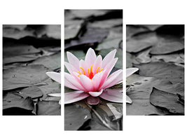 modern-3-piece-canvas-print-the-art-of-water-lily