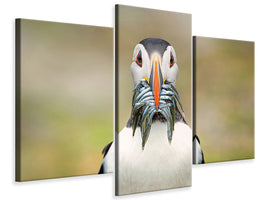 modern-3-piece-canvas-print-the-big-catch