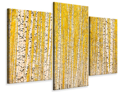 modern-3-piece-canvas-print-the-birch-forest-in-autumn