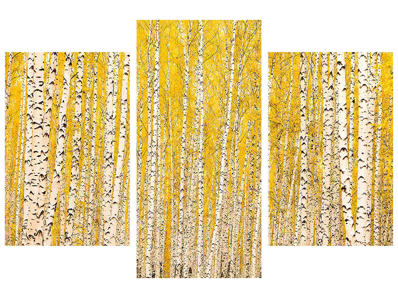 modern-3-piece-canvas-print-the-birch-forest-in-autumn