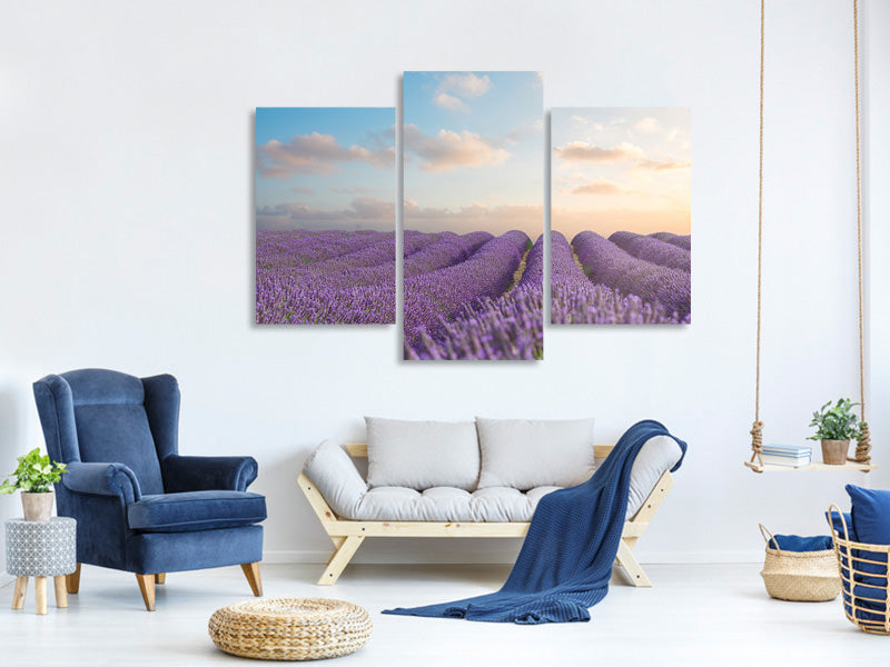 modern-3-piece-canvas-print-the-blooming-lavender-field