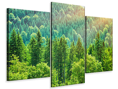 modern-3-piece-canvas-print-the-forest-hill