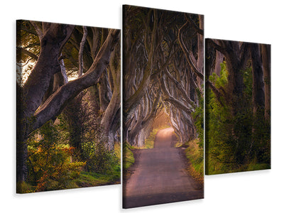 modern-3-piece-canvas-print-the-glowing-hedges