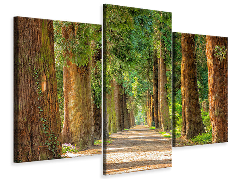 modern-3-piece-canvas-print-the-green-avenue