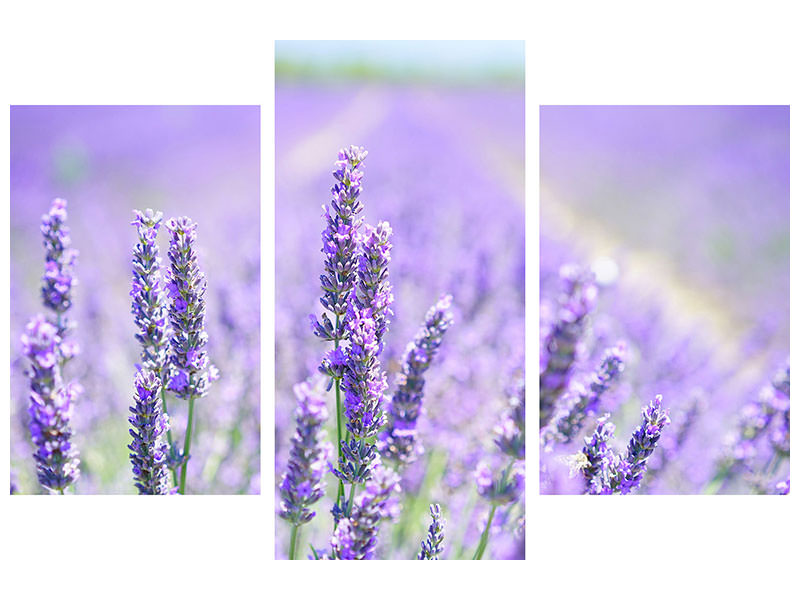 modern-3-piece-canvas-print-the-lavender-blossom