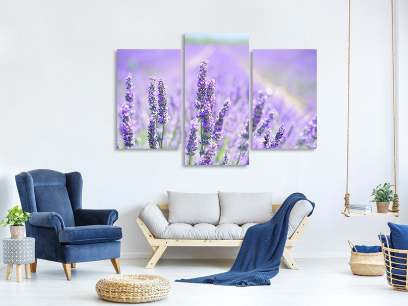 modern-3-piece-canvas-print-the-lavender-blossom