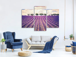 modern-3-piece-canvas-print-the-lavender-field-ii