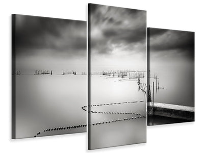modern-3-piece-canvas-print-the-netfish-iii