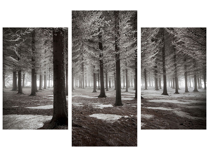 modern-3-piece-canvas-print-the-onset-of-winter