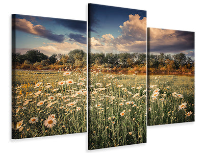 modern-3-piece-canvas-print-the-ox-on-the-river