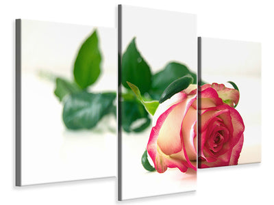 modern-3-piece-canvas-print-the-proud-rose