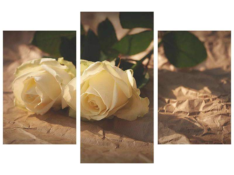 modern-3-piece-canvas-print-the-purity-of-the-roses