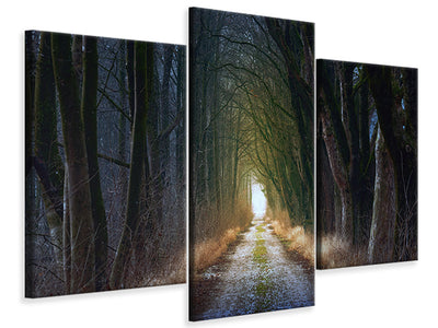 modern-3-piece-canvas-print-the-tree-avenue