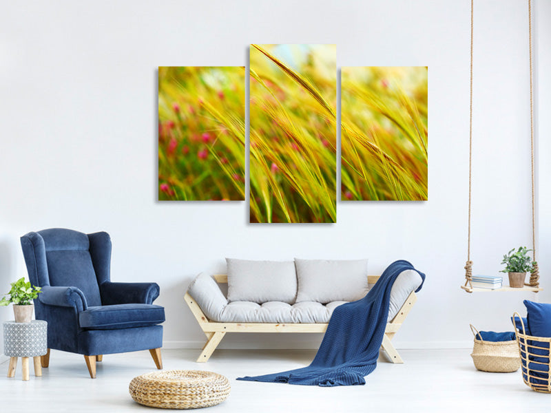 modern-3-piece-canvas-print-the-wheat-field