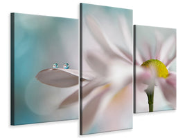 modern-3-piece-canvas-print-tiny-duo