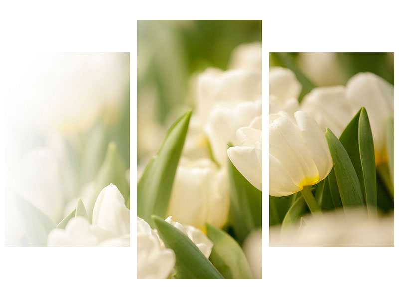 modern-3-piece-canvas-print-tulips-perspective