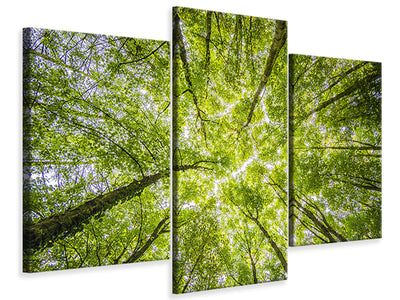 modern-3-piece-canvas-print-under-the-treetops