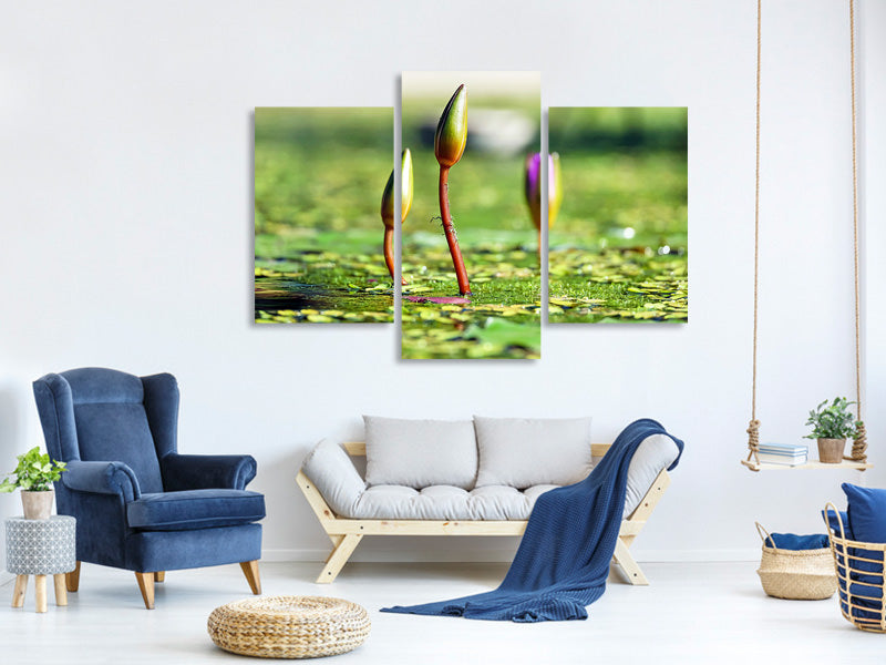 modern-3-piece-canvas-print-water-lilies-in-xl