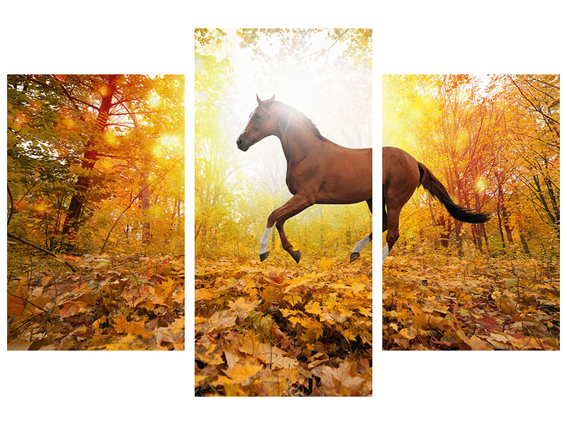 modern-3-piece-canvas-print-whole-blood-in-autumn-forest