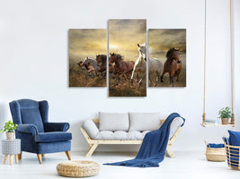 modern-3-piece-canvas-print-wild-wild-horses