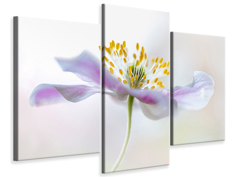 modern-3-piece-canvas-print-wood-anemone