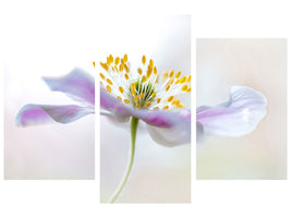 modern-3-piece-canvas-print-wood-anemone