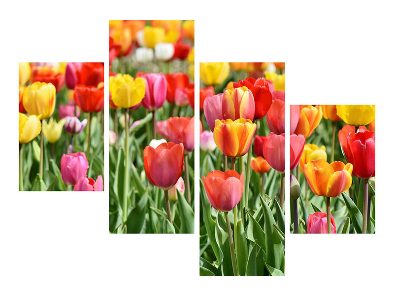 modern-4-piece-canvas-print-a-colorful-tulip-field