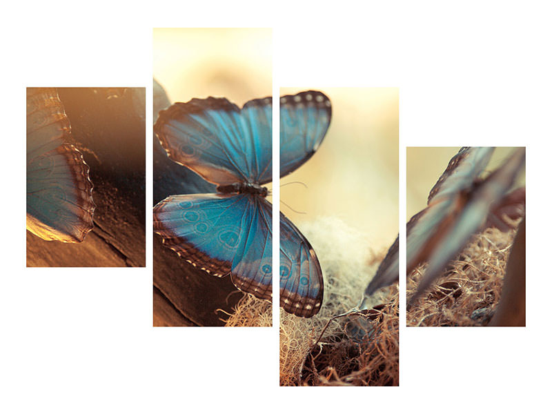 modern-4-piece-canvas-print-butterflies