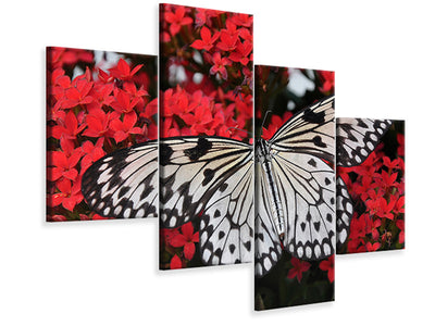 modern-4-piece-canvas-print-butterfly-in-xxl