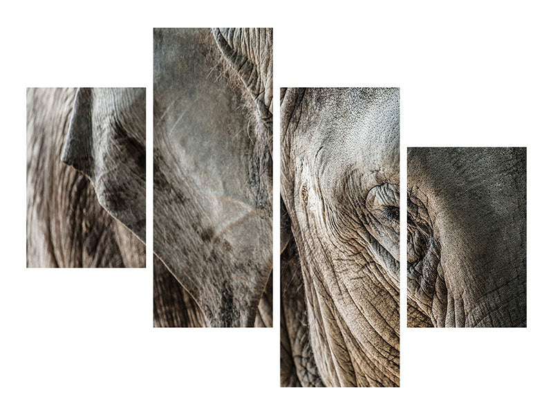 modern-4-piece-canvas-print-close-up-elephant