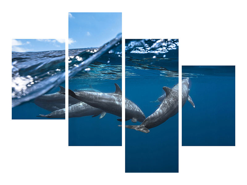 modern-4-piece-canvas-print-dolphins