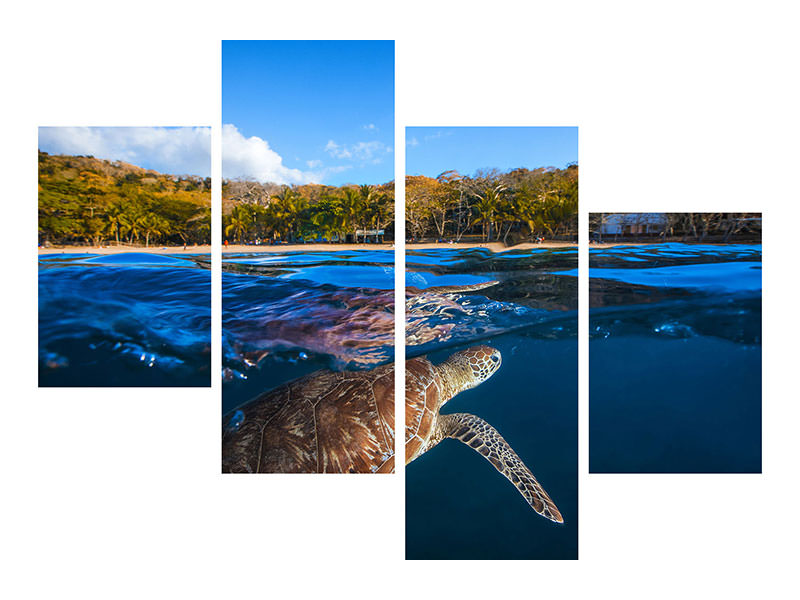 modern-4-piece-canvas-print-green-turtle-sea-turtle