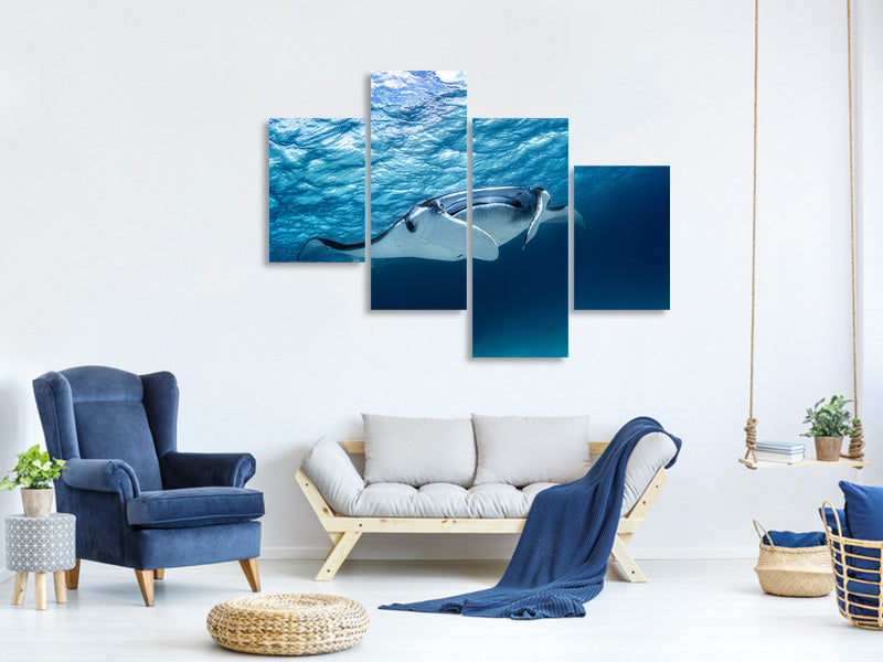 modern-4-piece-canvas-print-manta-ray