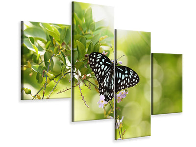 modern-4-piece-canvas-print-papilio-butterfly-xxl