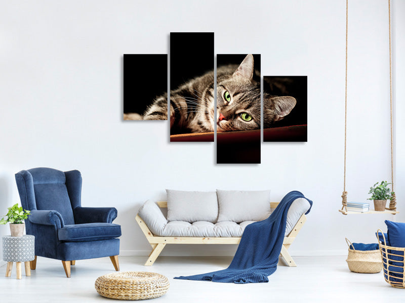 modern-4-piece-canvas-print-relaxed-cat