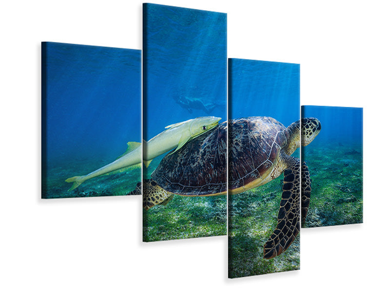 modern-4-piece-canvas-print-sea-turtle